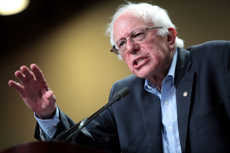 Bernie Sanders: Knave or Fool? 2555