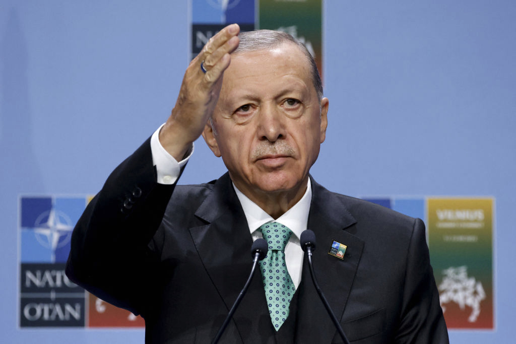 Erdoğan 84 milyon Türk’ü Avrupa’ya getirmeyi umuyor mu?  :: Gatestone Şirketi