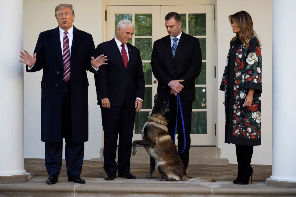 MAGA Dog for Trump?